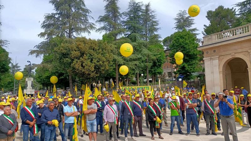 Allarme Della Coldiretti Per L Emergenza Cinghiali E Peste Suina