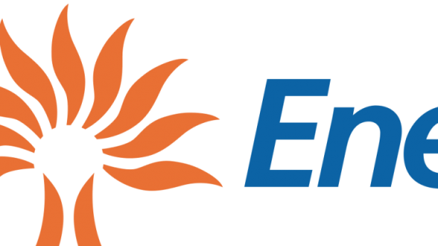 Logo Enel