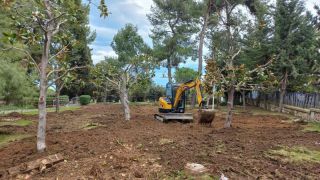 Vasto: le magnolie trapiantate all'interno della Villa Comunale