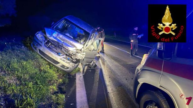 L'auto distrutta dai cinghiali